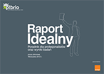 raport idealny